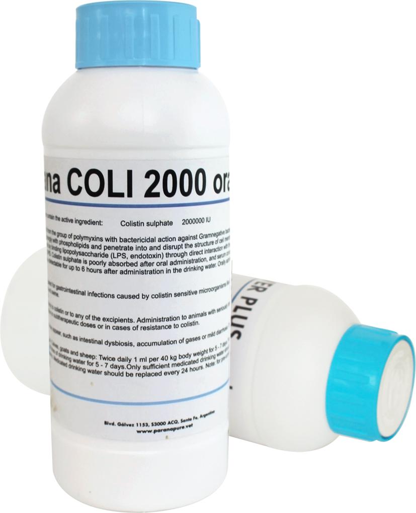 Parana COLI 2000 oral